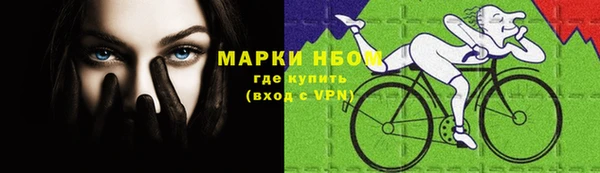 стаф Новый Уренгой