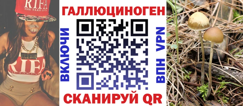 Купить закладки  Новозыбков  Псилоцибиновые грибы мухоморы 